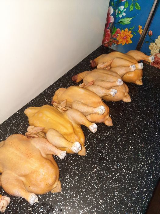 Мясо домашнего бройлера