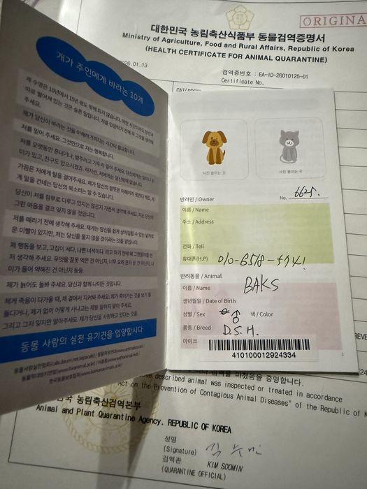 Котенок Baks $$$