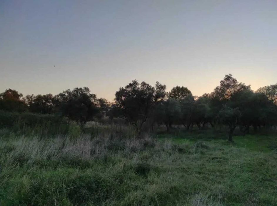 Парцел с гледка към Атон – Кумици на 650 м от морето