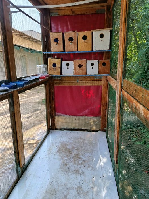 Попугай учун вольер тайер