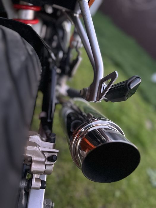 Cap de toba Dejukevic de vanzare