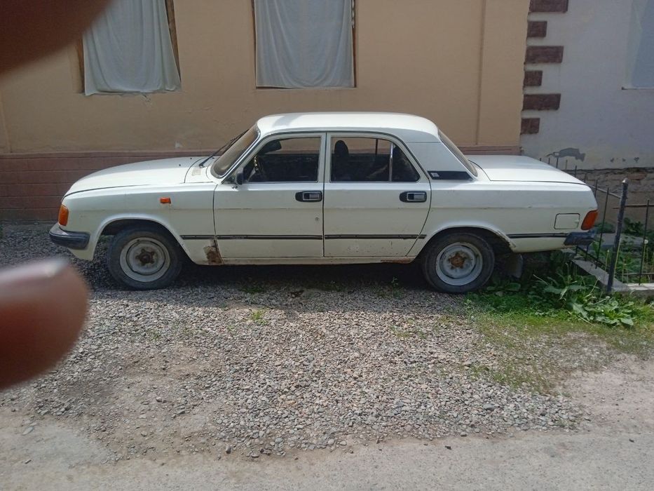 Volga yurip turipti xolati orta gazi bor mator xadavoy yaxshi