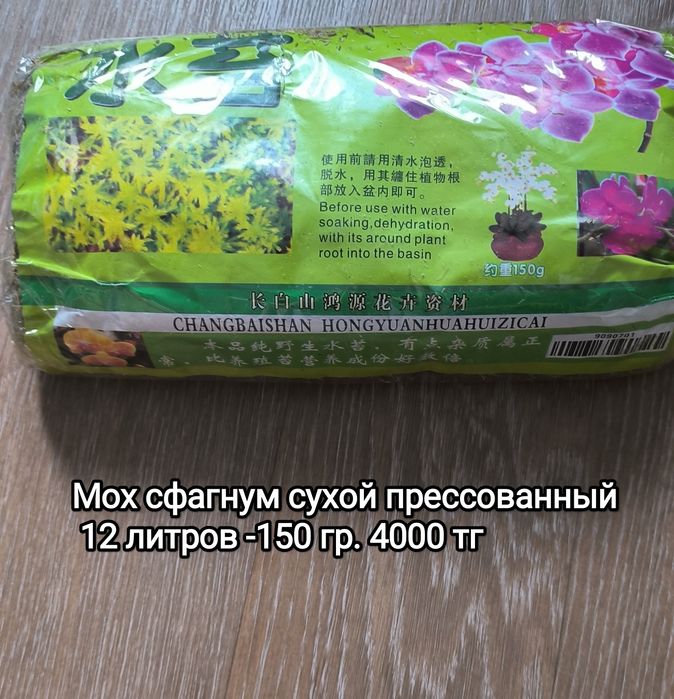 Мох сфагнум сухой