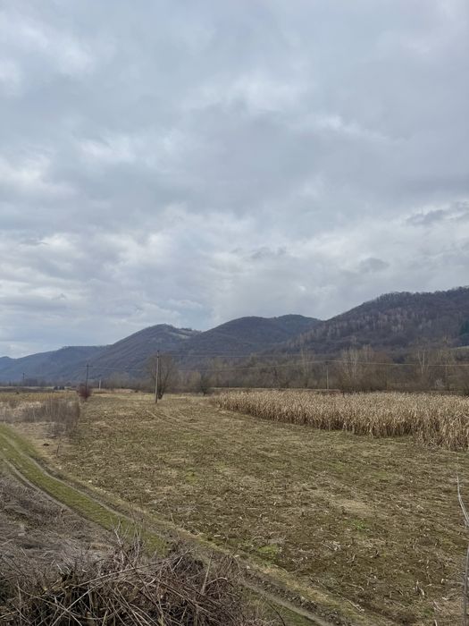 Teren de vanzare pe sesul Rebrisorii