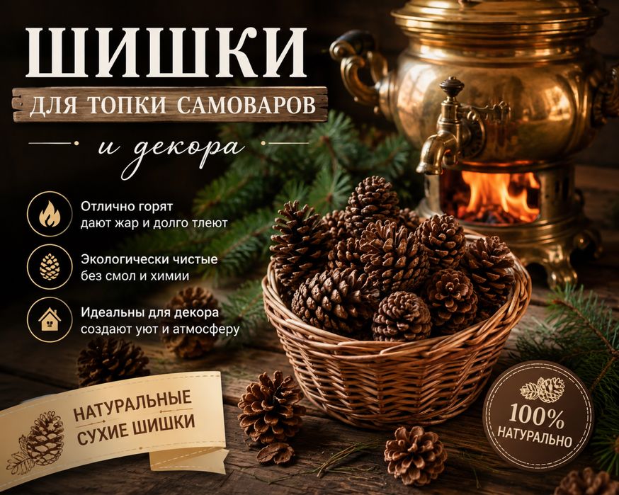 Продам Еловые шишки