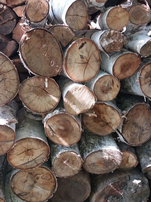 Продам дрова за 2000тенге мешок.