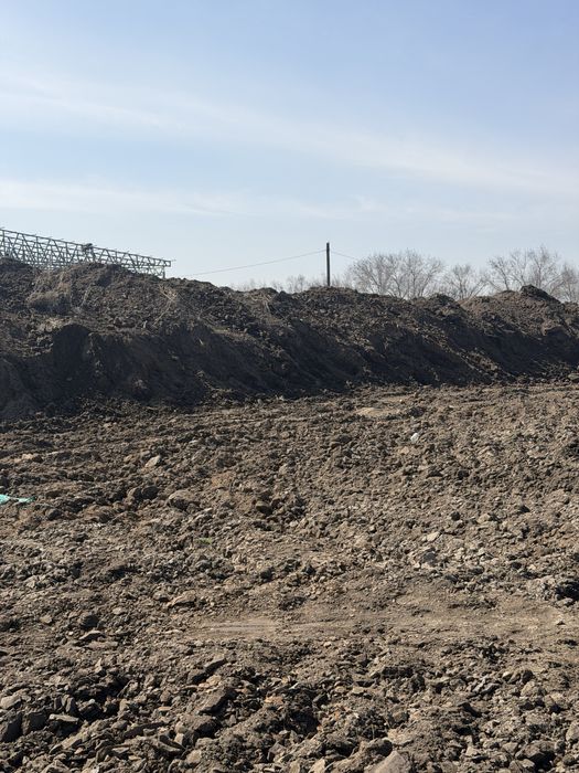 Чернозем чёрная земля