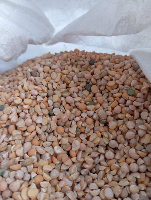 ОТходы ! (Хорошего качества)