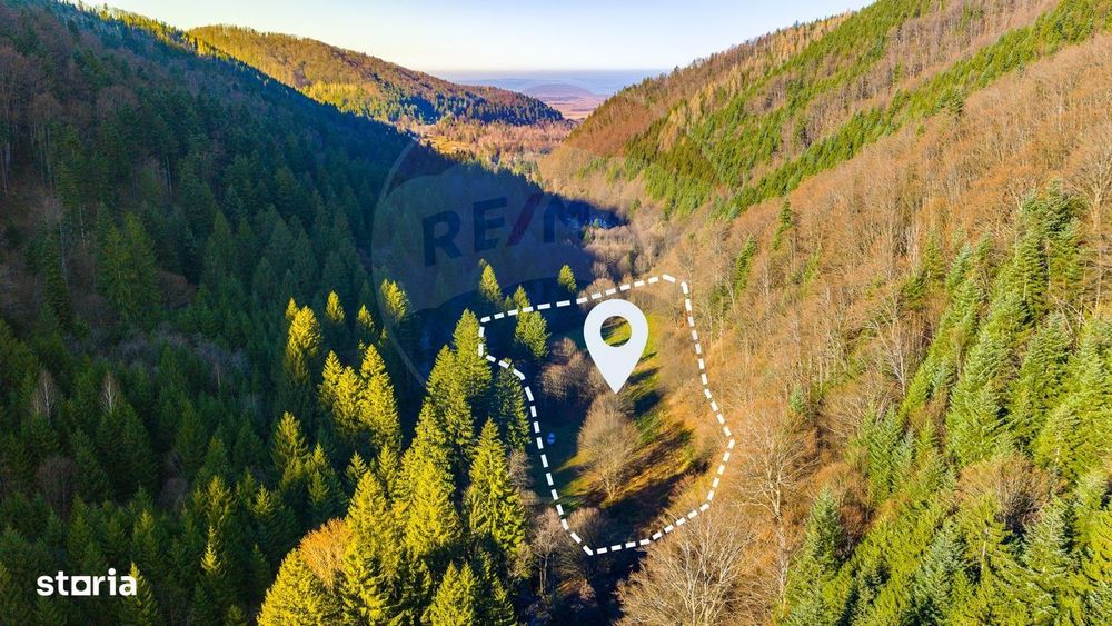 Teren intravilan 1.8ha Recea / COMISION 0%