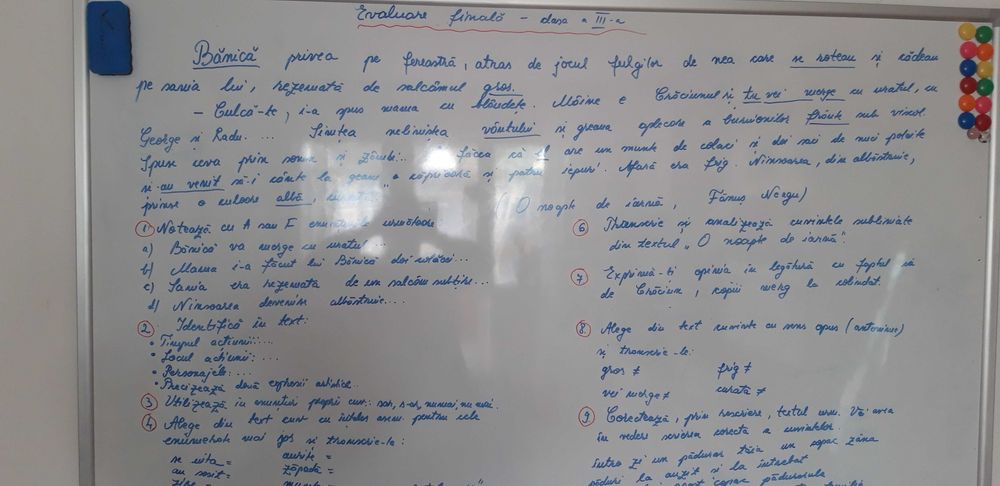 Meditaţii  la matematică si la limba română