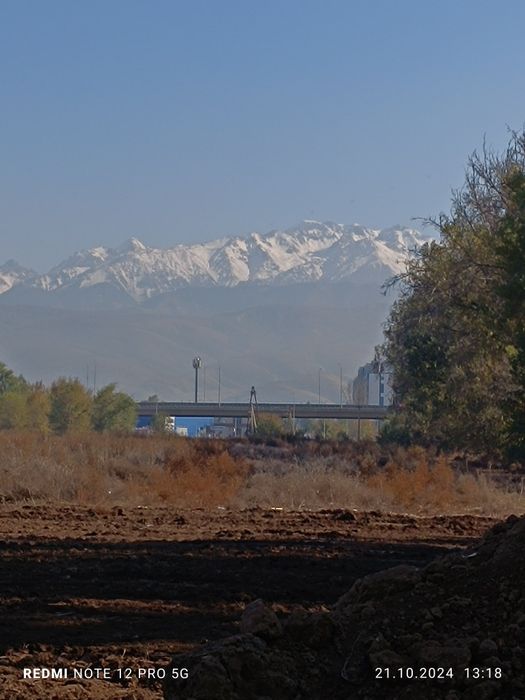 Плодородный грунт с само вывозом