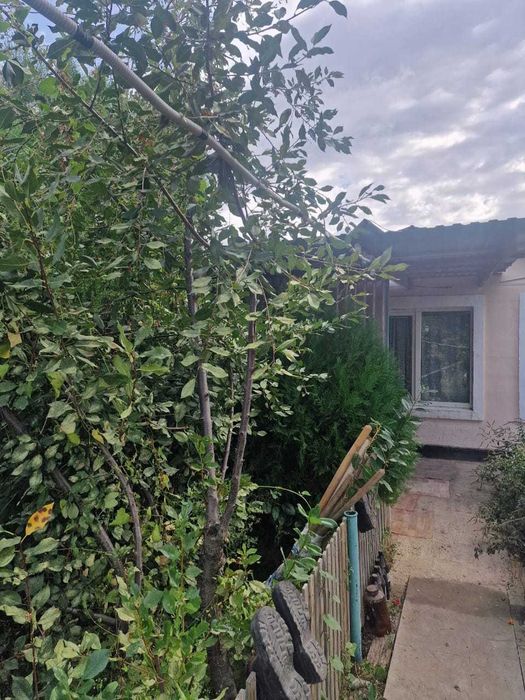 Продаю или обменяю дачу на Бугорках