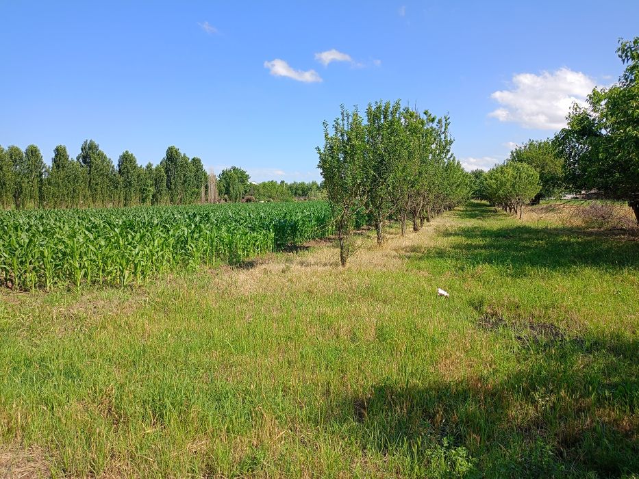 Уй сотилади! дом продаётся: 35 000 у.е. - Продажа Бука на Olx