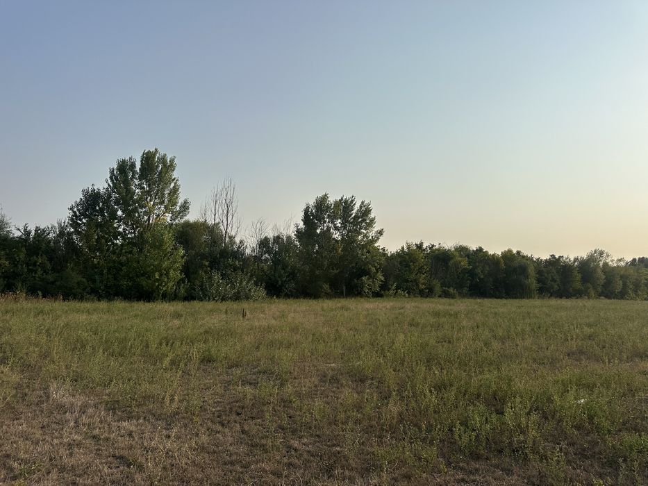 Teren de vanzare Ciorogarla, 1000mp, livada cu pomi maturi pe rod