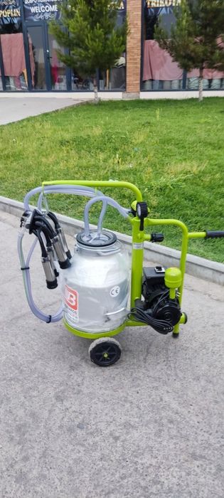 Er xotin er ayollar ichki kiyimida