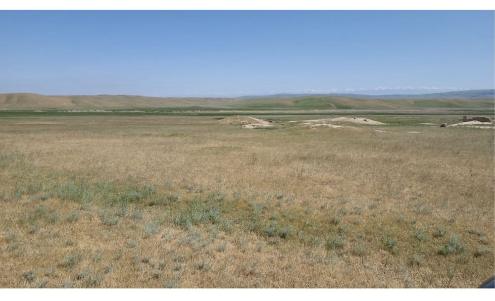 Фазенда крестянское хозяйство кашар