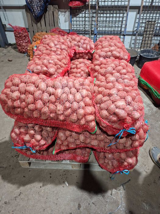 Cartofi pentru animale