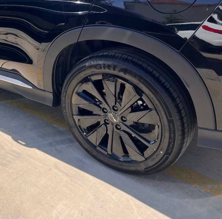 Наклейка на диск BYD Champion 2025