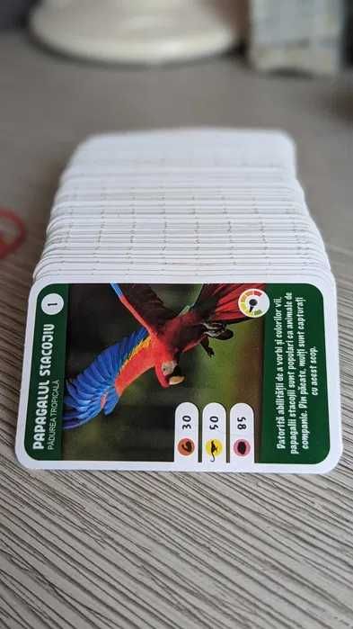 Cartonase Mega Image - Expeditie in jurul lumii 1 si 2