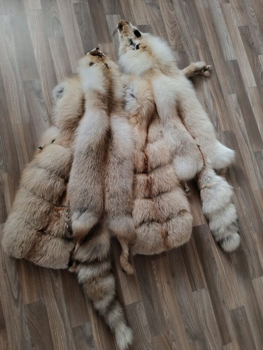 Мех натуральный. Лиса