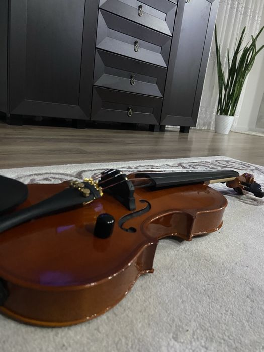 Vand vioara electrica zeta placa mica