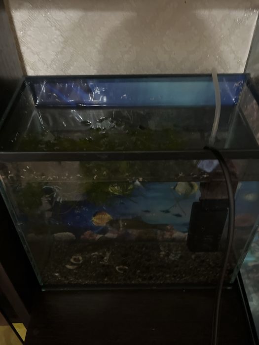 Аквариум продается  23литра