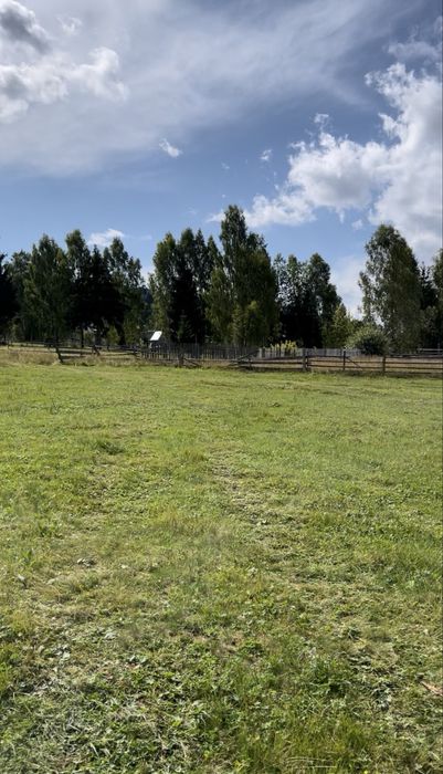 Teren in Vatra Dornei