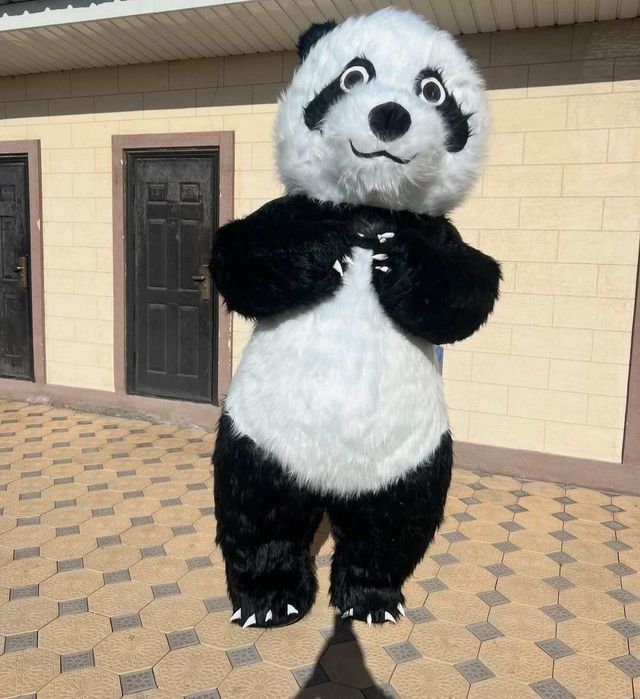 Ayiqlar teddi quyon sotiladi yangii