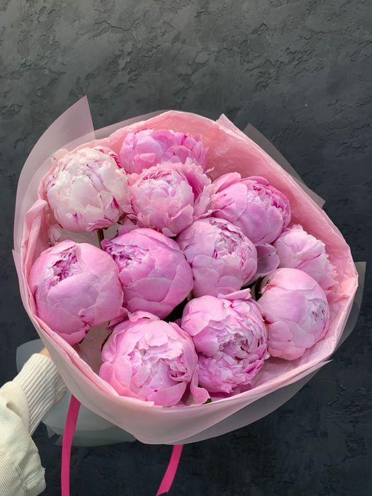 Пионы свежие Sarah Bernhardt