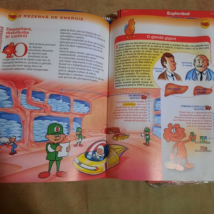 Colecția Corpul Uman