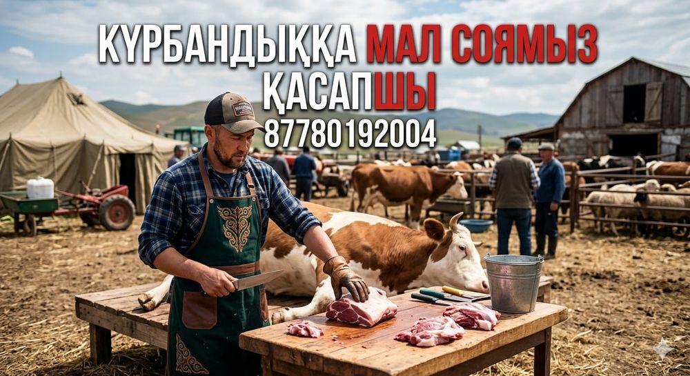 Касапшы мал соямыз мясник