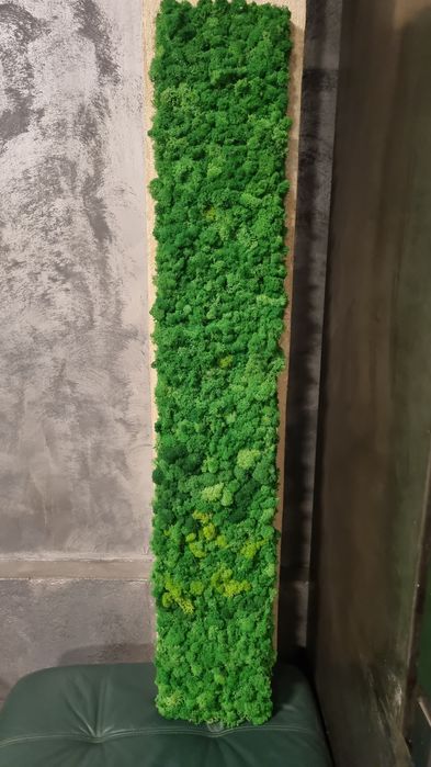 Tablou/panou cu licheni naturali stabilizati