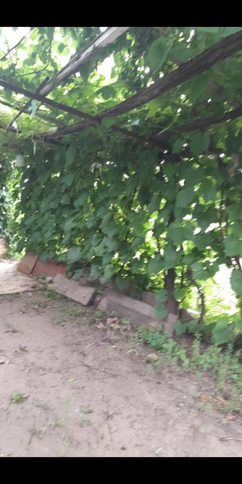 продам дачу. СО Мичуринец