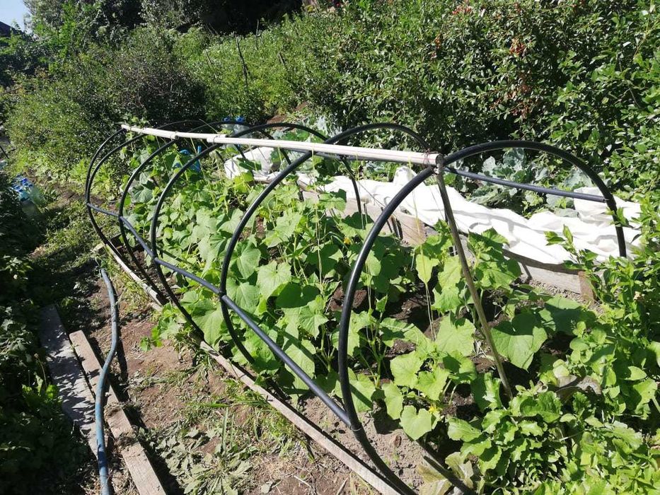 Продам дачу. Общество Энергетик