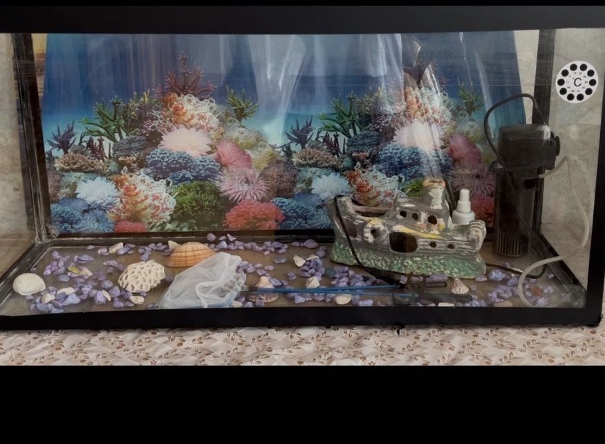 Большой аквариум