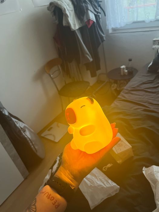 Нощна лампа Capybara, LED, 1200 mAh, Регулируем, Без кабел