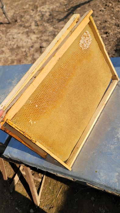 Асалари яшиклари ва ромлари