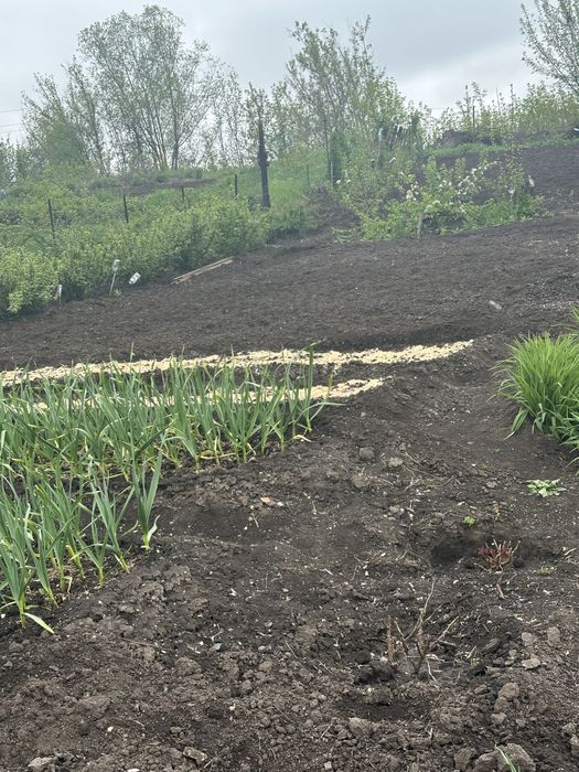 Продам двухэтажный особняк в городе Алтай (Зыряновск)