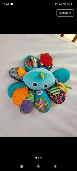 Caracatita interactiva