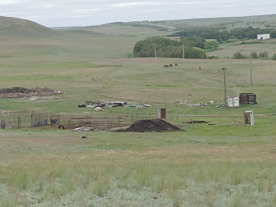 К Х. Хозяйство. Продоёца