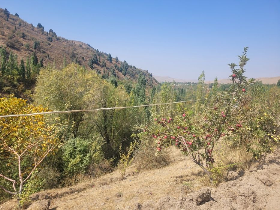 Синиегорияда дача сотилади