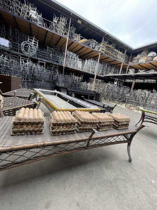 (Яйцо фабричная свежая) Tuxum