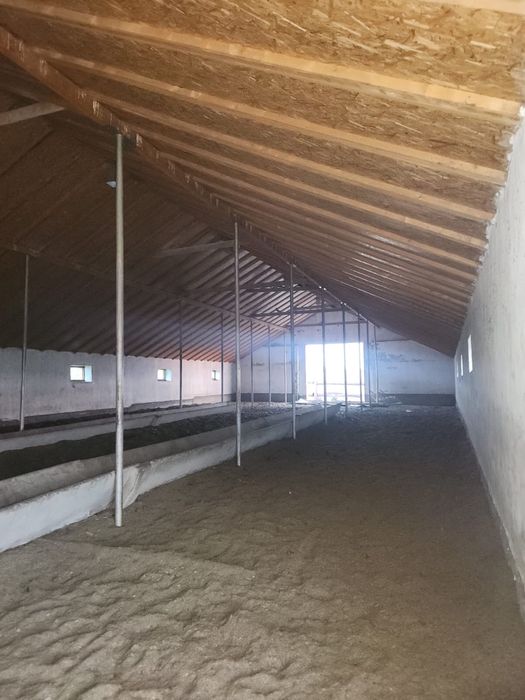 Продается фазенда