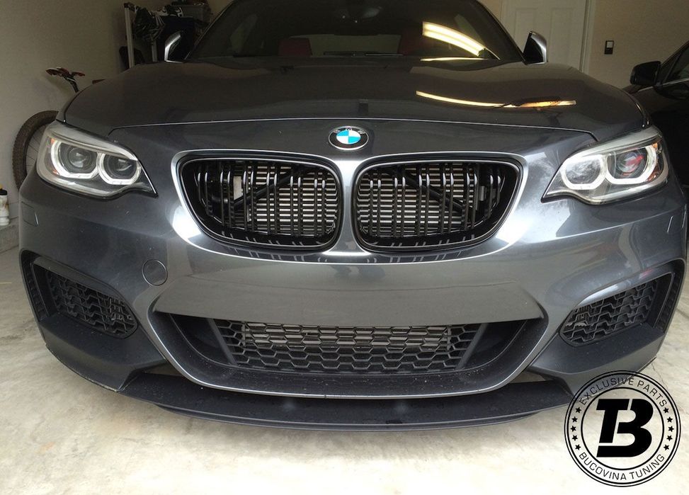 Grile Duble compatibile cu BMW Seria 1 F20 F21 M Design