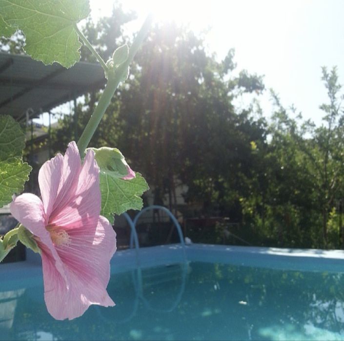 Продается своя дача в Бостанлыкском районе