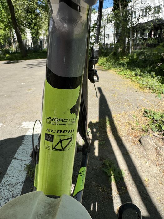 Cursiera Scapin Shindy