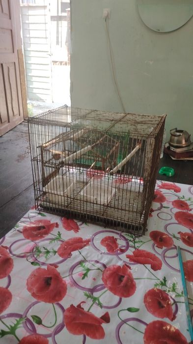 Клетки для птиц на продажу