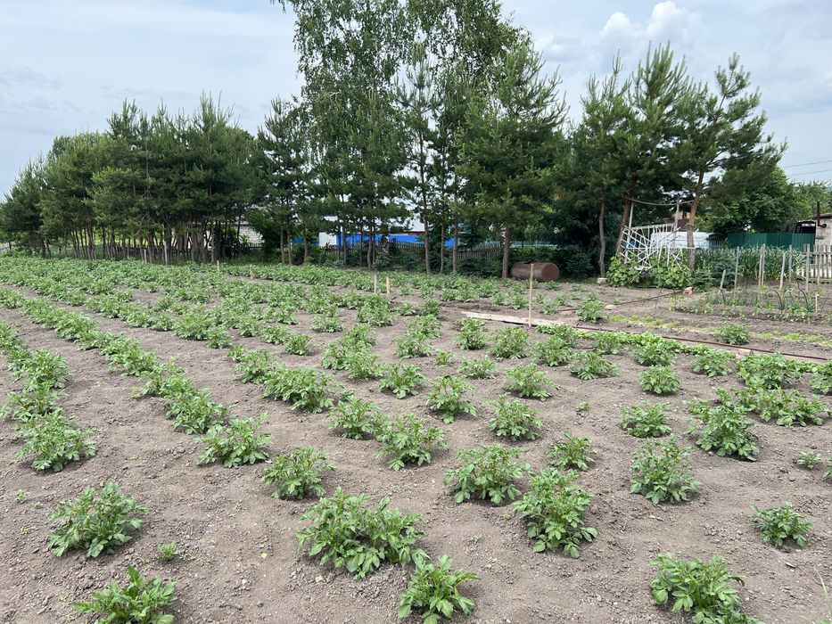 Продам дом в Бобровке