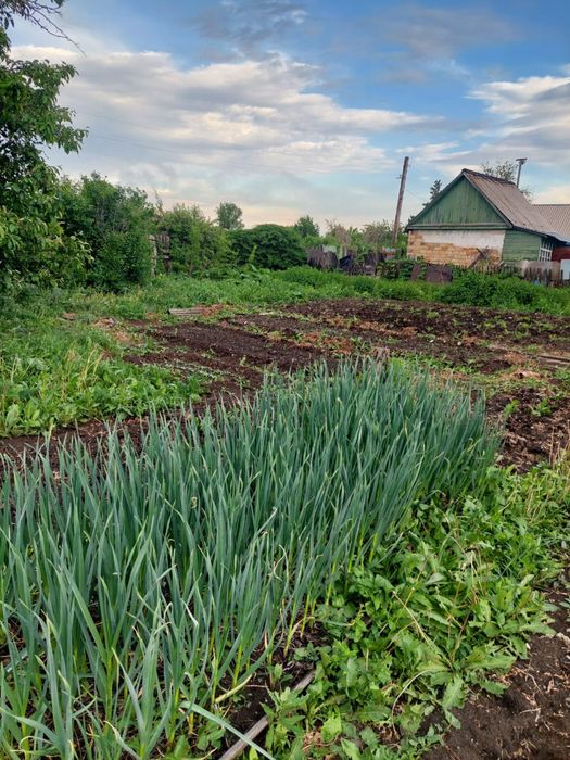 Продается Дача с участком для хозяйства