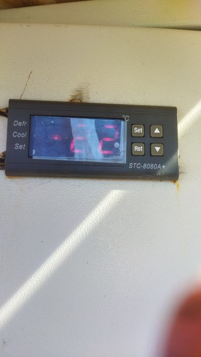 Сдам в аренду камеры морозильные реф контейнеры